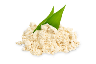 Pflanzliches Eiweiß